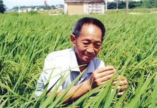 一日三餐，米香彌漫，飽食者當(dāng)憶袁公！
