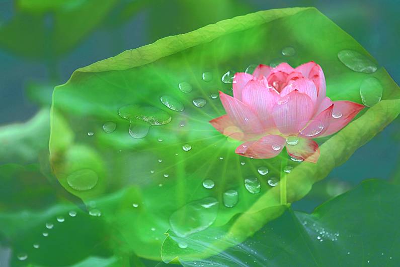 醫(yī)療器械網(wǎng)：失眠該怎么辦？